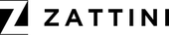 zattini logo